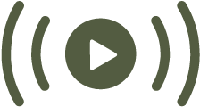 live stream