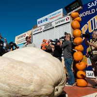 2014 winner John Hawkley with his record-breaking 2,058 lb Atlantic Giant