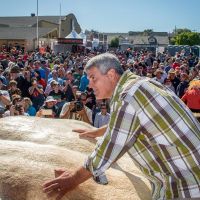 2015 Pumpkin Weigh-Off Winner Steve Daletas