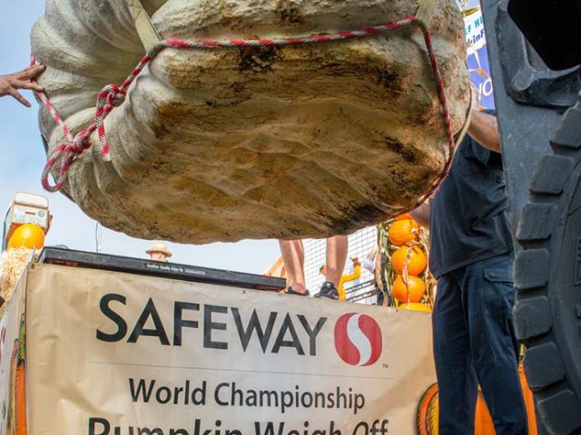 Lifting a contender to the official scale