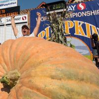 2017 Pumpkin Weigh-Off Winner Joel Holland