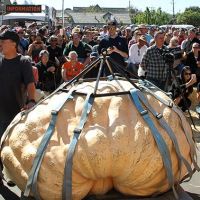 2018 Pumpkin Weigh-Off winning pumpkin