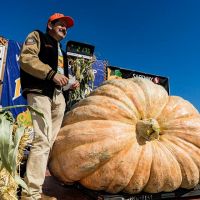 2019 Pumpkin Weigh-Off 2-time winner Leonardo Urena