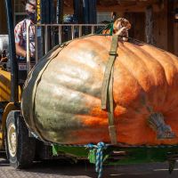 2020 Weigh-Off winner driven to the scale