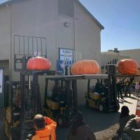 Most Beautiful Pumpkin finalists