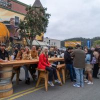 Pumpkin Festival libations area