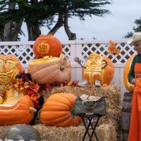 Farmer Mike with his carved pumpkins